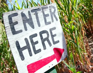 Качественный секс с красоткой Райли Рид на кукурузном поле